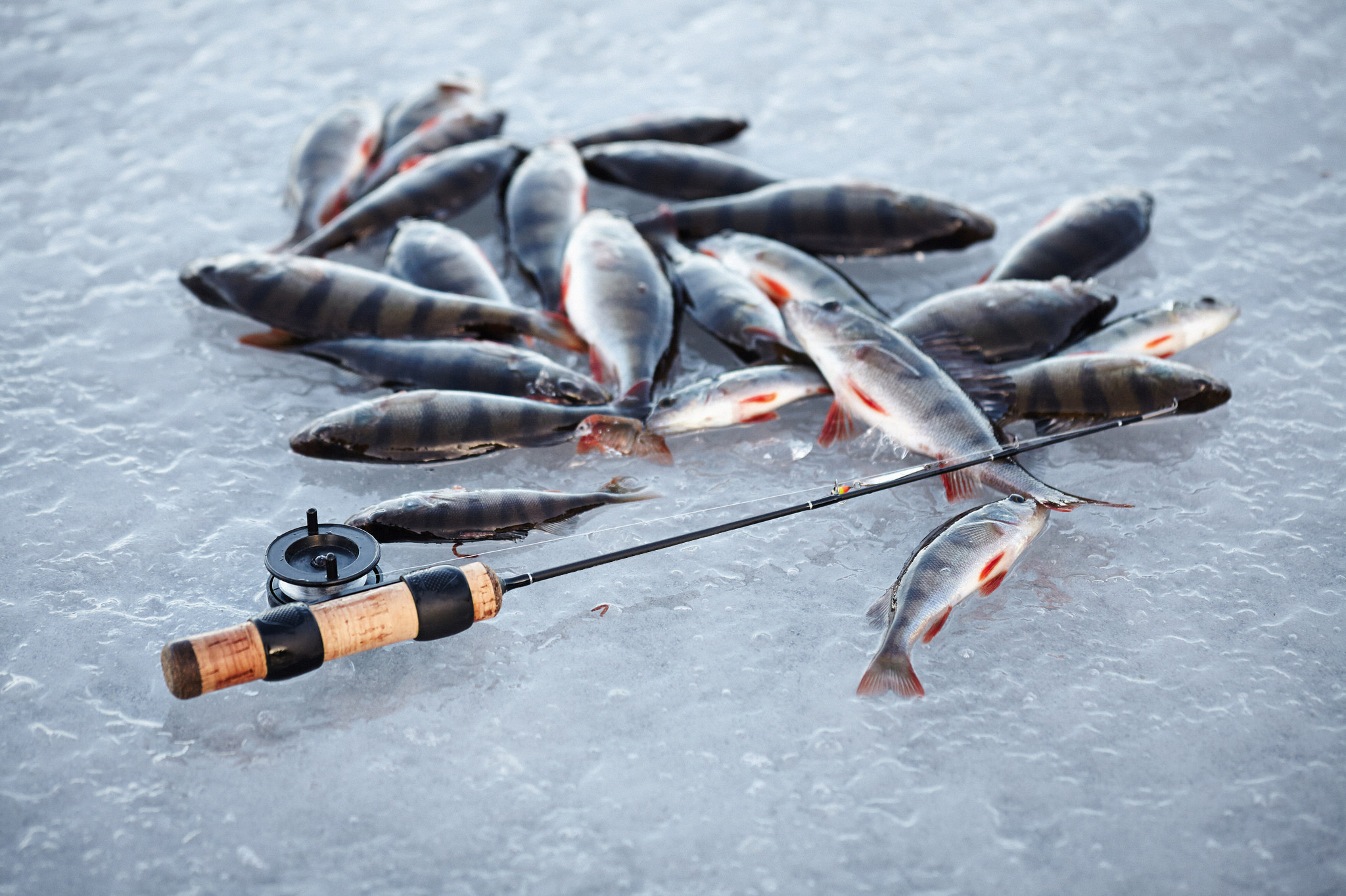 Ice fishing