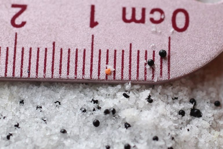 Image Via: Lake Ontario Waterkeeper