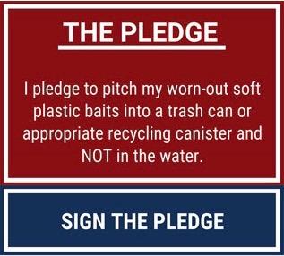 Sign the pledge