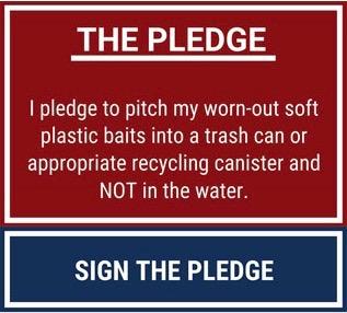 Sign the pledge