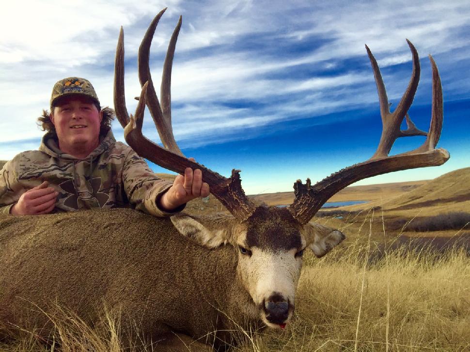 Credit: Spencer Vandenberg. Hunters can wait years for a coveted mule deer tag.