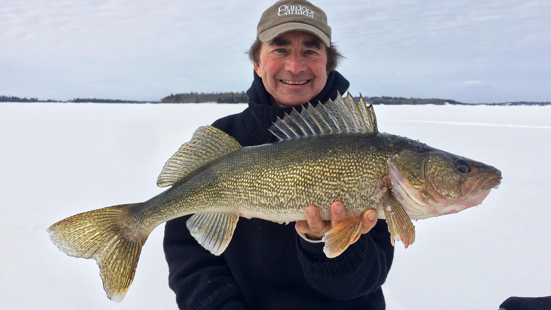 How to catch more wintertime walleye by pounding your baits • Outdoor  Canada