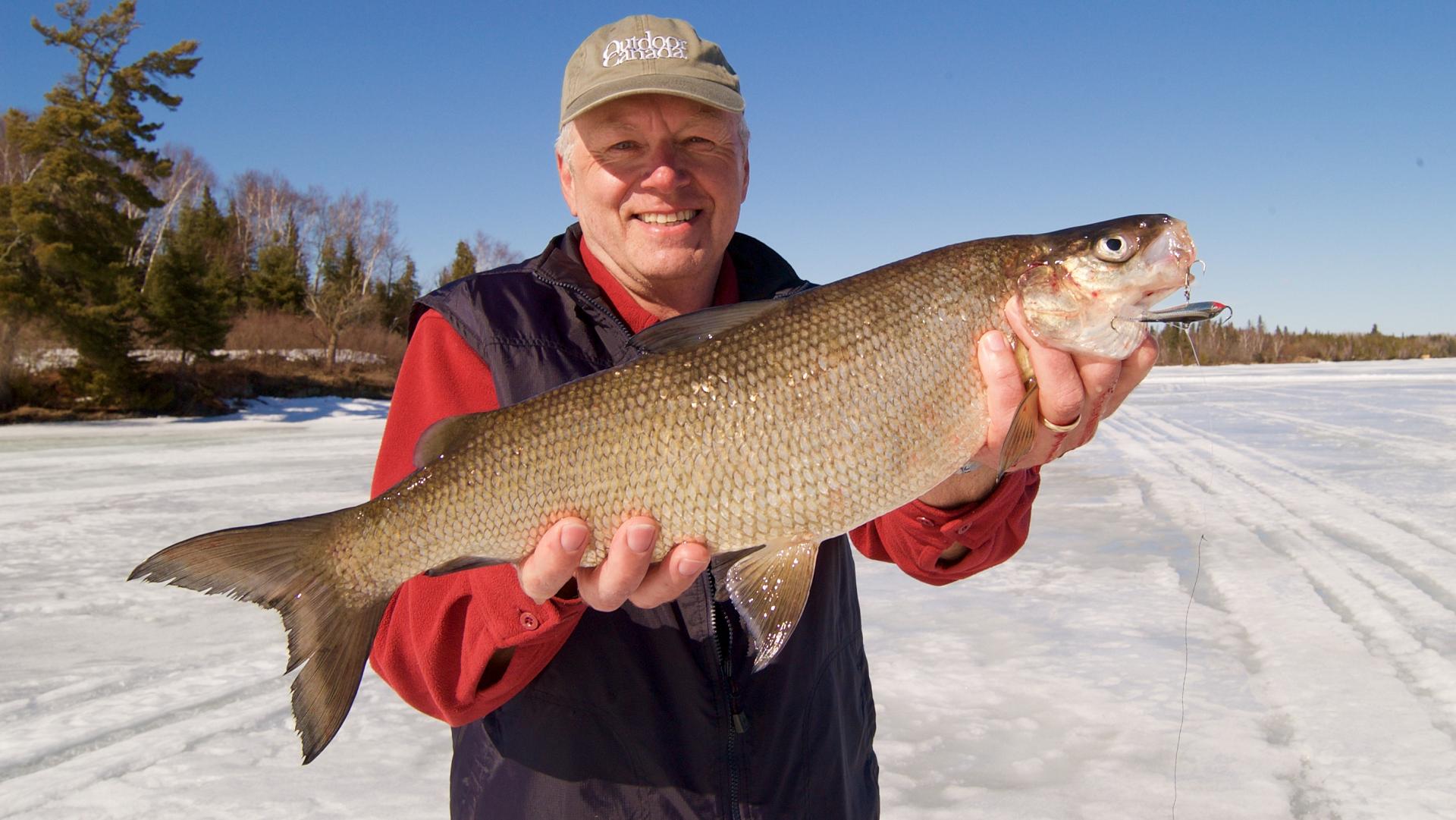 If you only own a single ice-fishing lure, make it this one