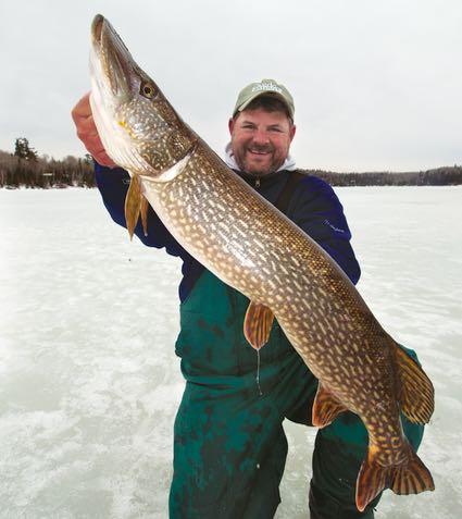 To entice pike and other fish, pause your jigging and let the lure hang motionless. Credit: Gord Pyzer.