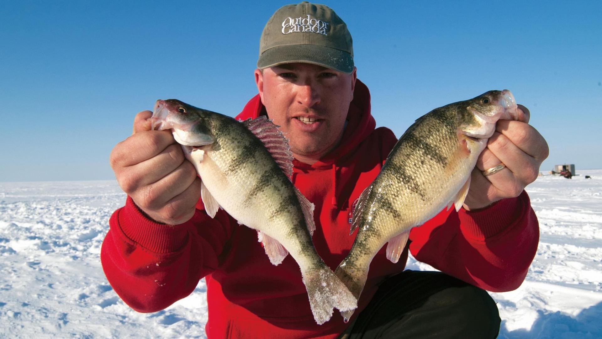 These ice-fishing lures for perch should be a lot more famous • Outdoor  Canada