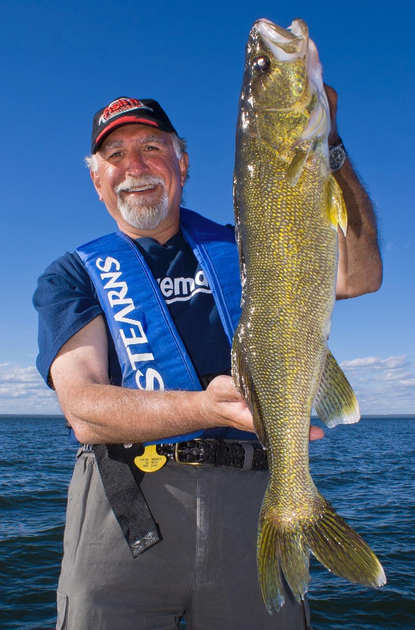 Believe it or not, walleye like this one are plentiful on Lac Seul. Credit: Angelo Viola.