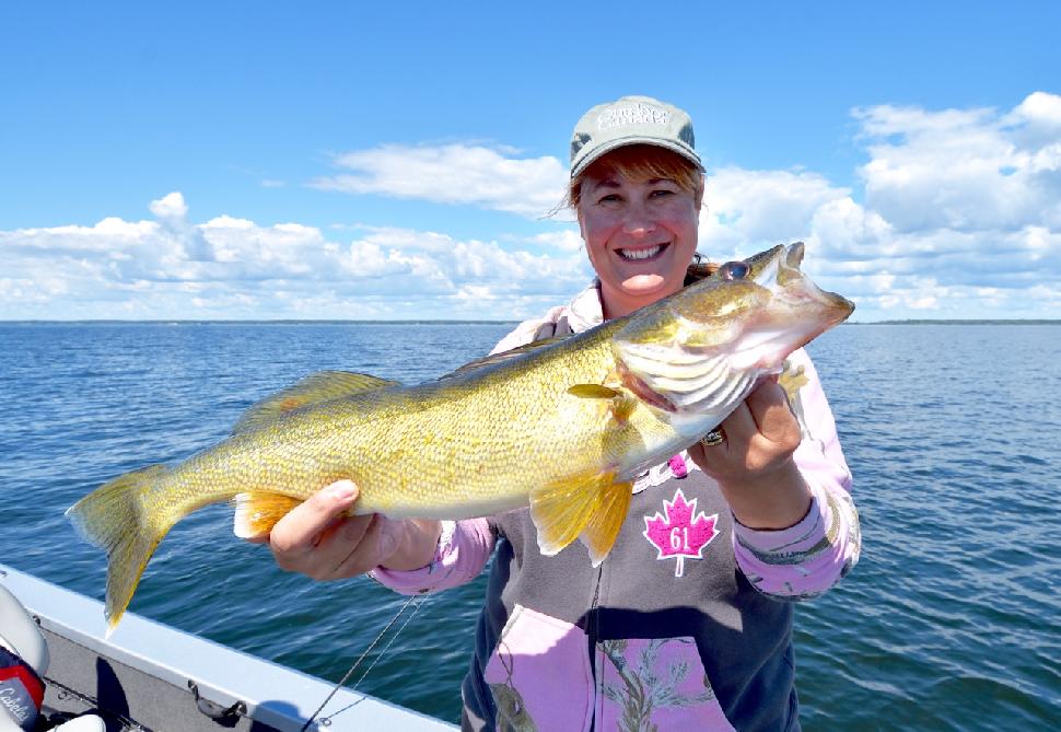 To land walleye with jigging minnows, be sure to keep your line taut. Credit: Gord Pyzer.