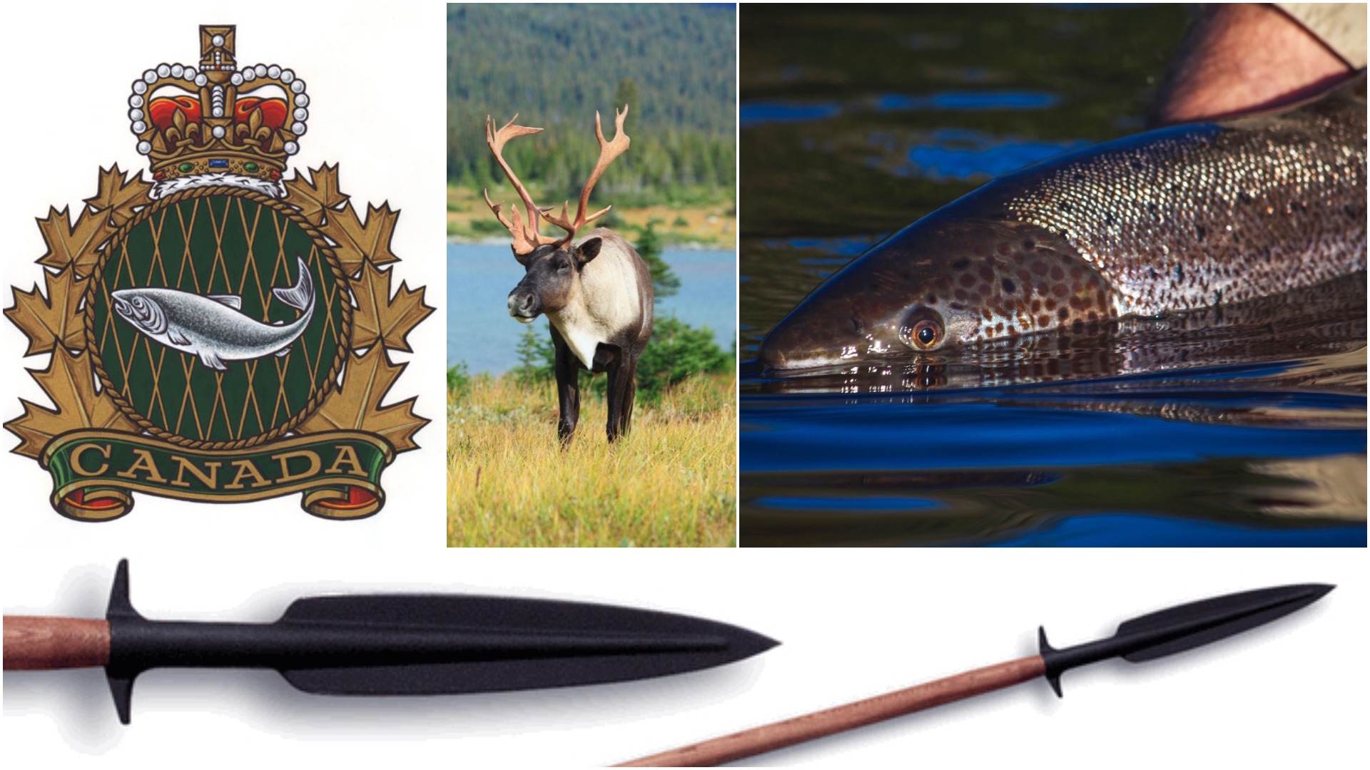 4 notable new numbers about fishing and hunting in Canada