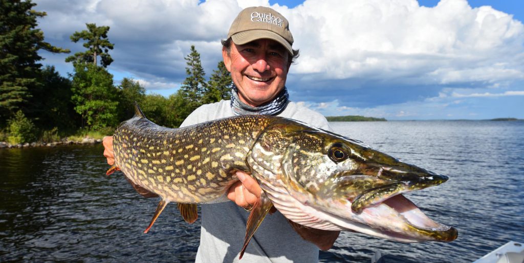 The evil eye Can fish stick their heads out of the water and size up