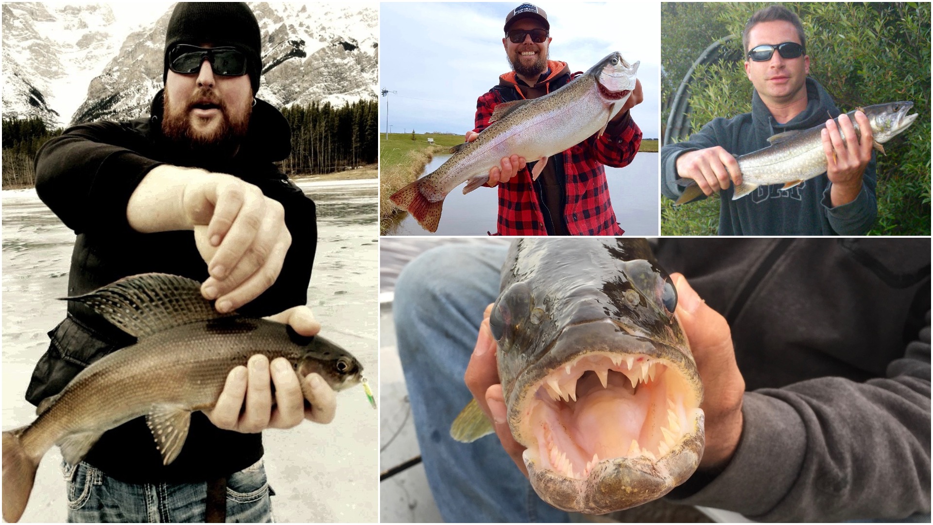 4 stellar spring fish photos by Outdoor Canada readers