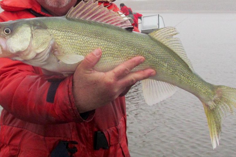 Image Via: Brian Kotak