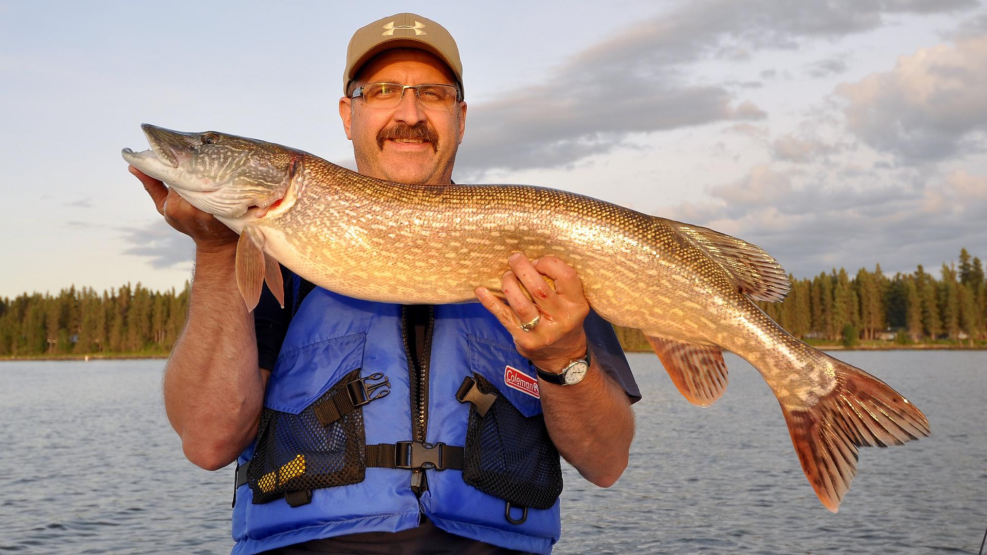 How to find the biggest northern pike throughout the open-water