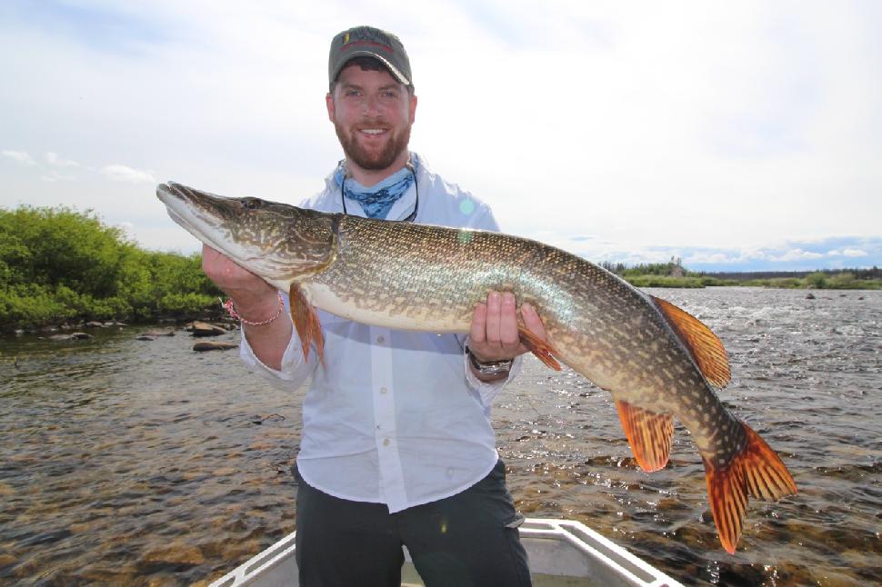 How to find the biggest northern pike throughout the open-water