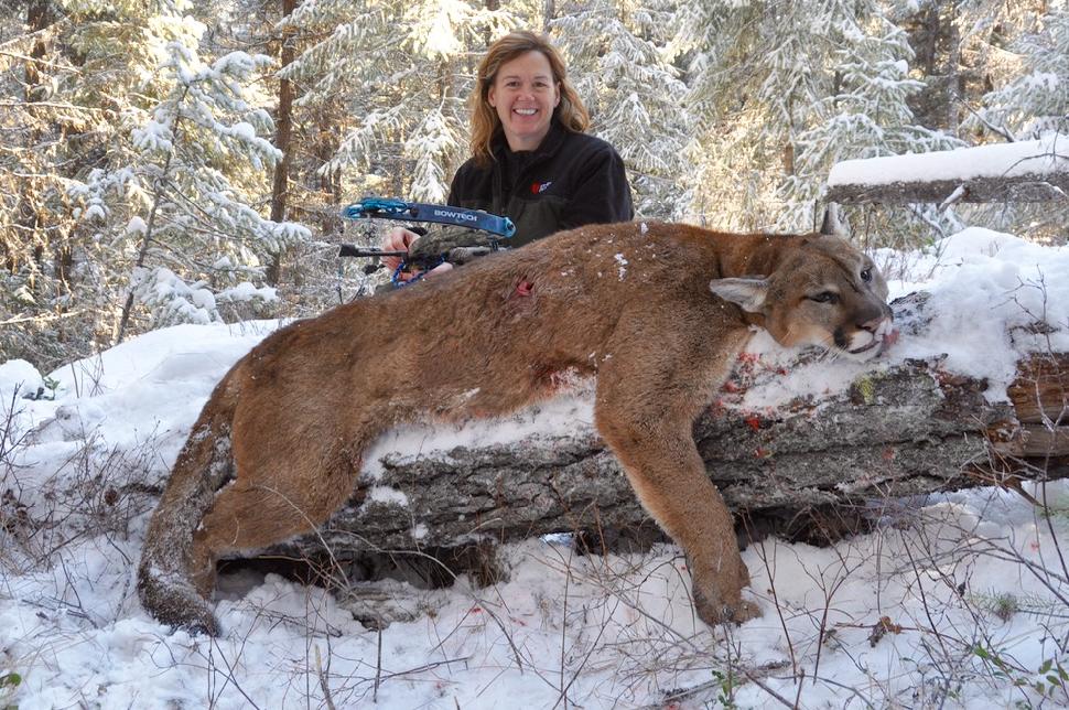 Credit: T.J. Schwanky Cougar kills tend to rile up anti-hunters