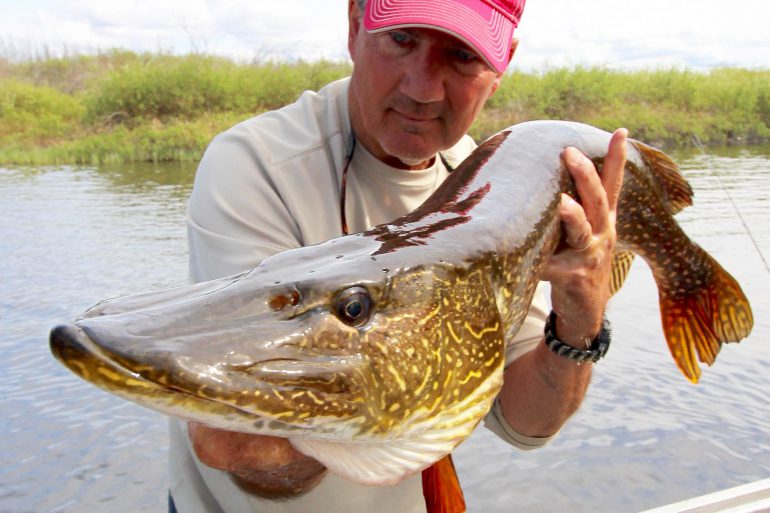 Image Via: Scott Gardner