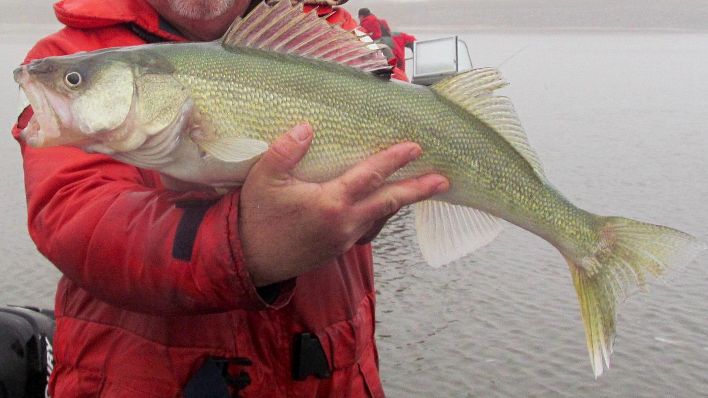 What does Lake Winnipeg's recreational fishery mean to the Manitoba