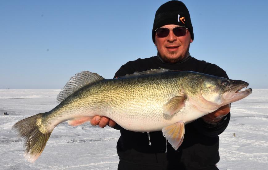 Credit: Gord Pyzer. Survey aims to assess walleye fishery’s value.