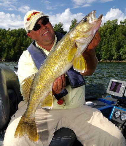 Credit: Gord Pyzer. Walleye try to stay in the shadows.