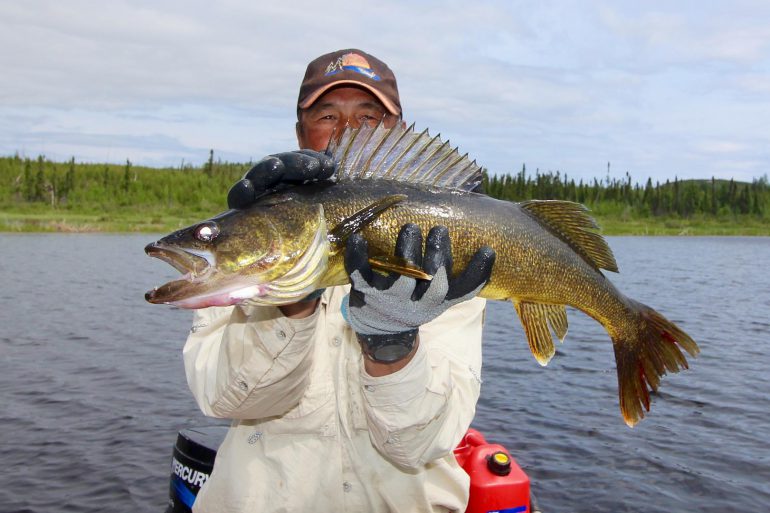 Image Via: Scott Gardner