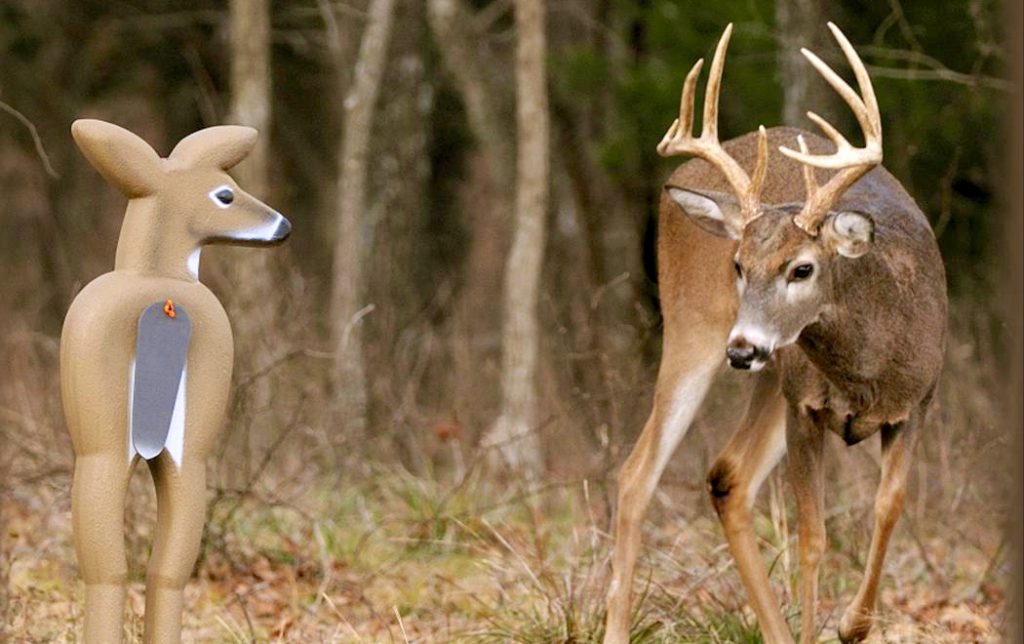 5 expert tips for hunting with whitetail decoys • Outdoor Canada