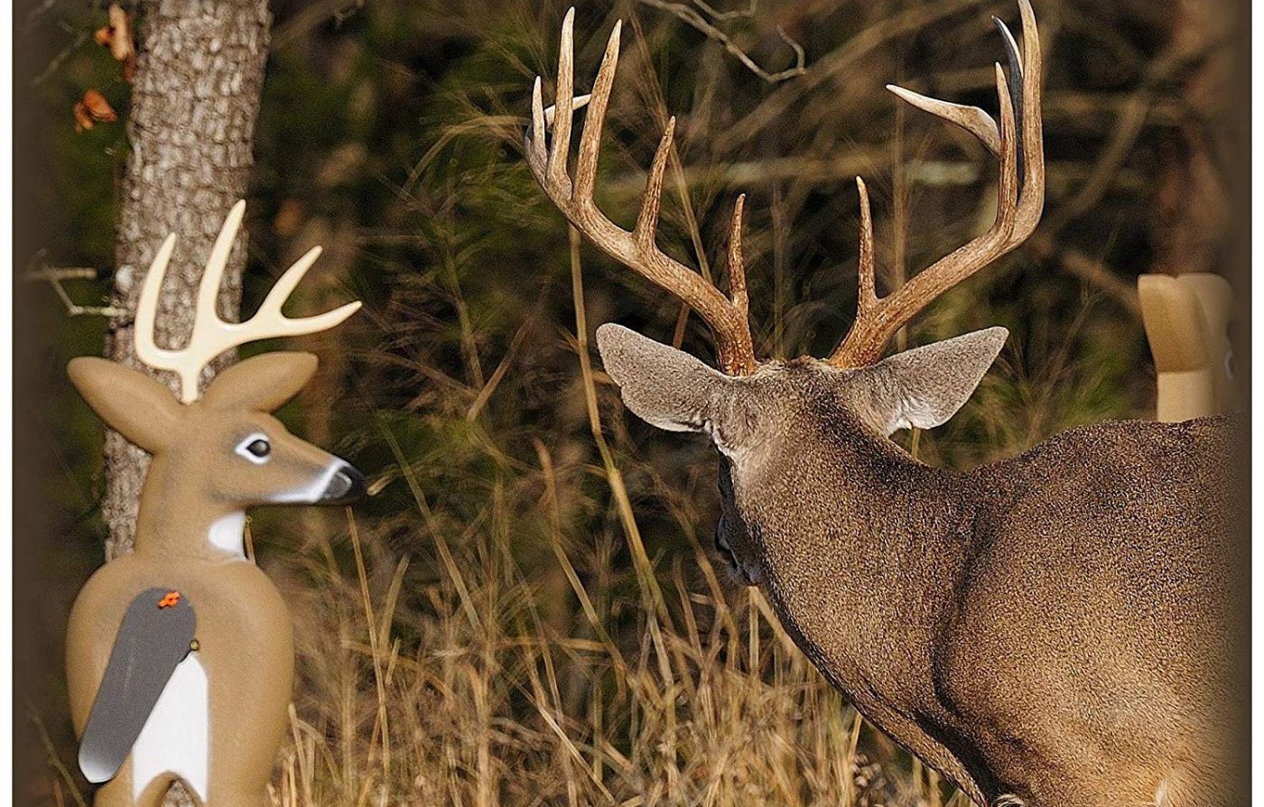 5 expert tips for hunting with whitetail decoys • Page 3 of 7 • Outdoor