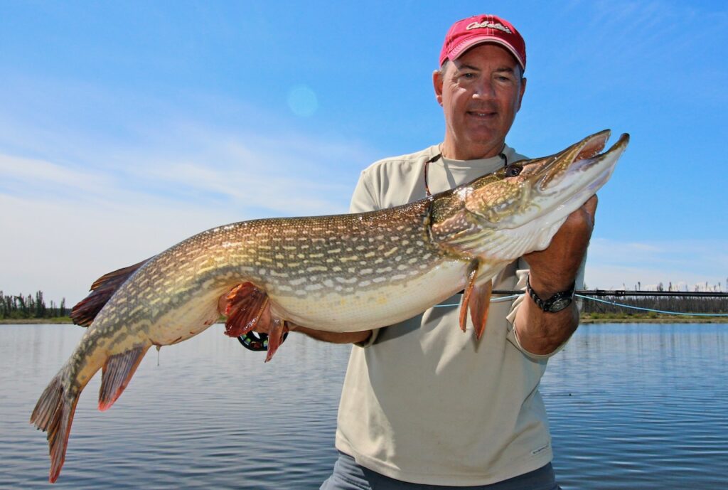 Fly-fishing for northern pike: Expert tips from Outdoor Canada