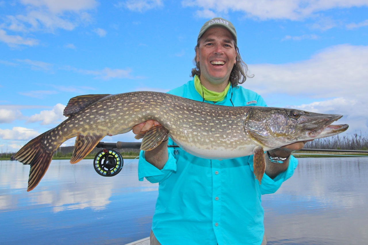 Fly- fishing for northern pike Pro tips from Outdoor 