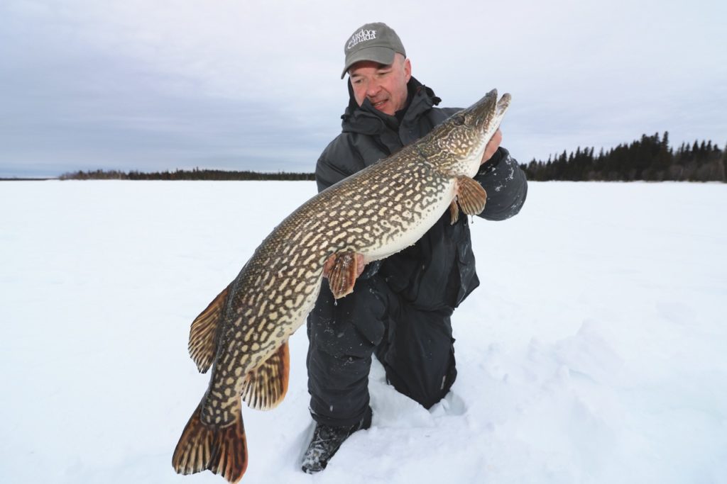 Wild winter ice-fishing action at Wekusko Falls Lodge • Page 3 of 4 •  Outdoor Canada