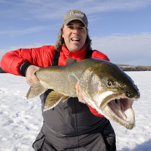 A step-by-step guide for catching big winter lake trout • Outdoor Canada