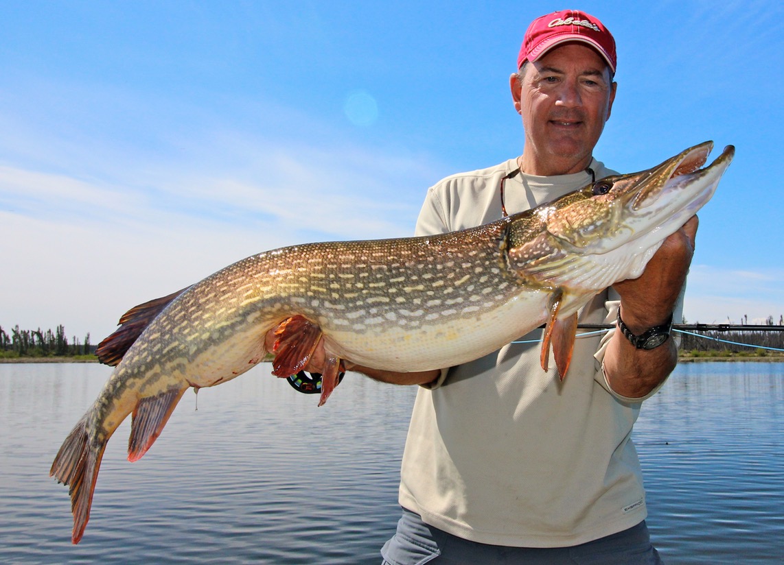 20 Saskatchewan hot spots for worldclass pike fishing • Outdoor Canada