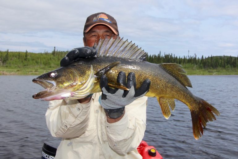 Manitoba’s top 20 hot spots for great walleye fishing • Outdoor Canada