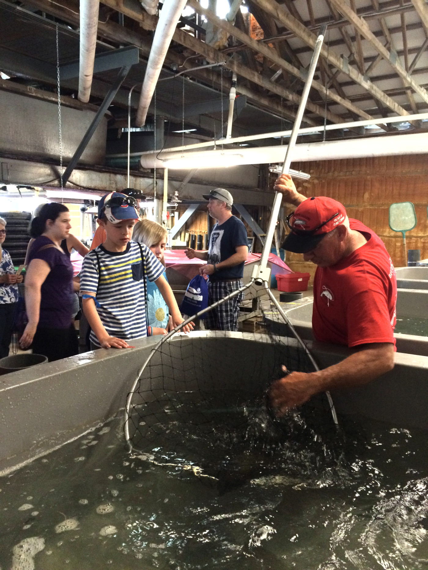 How Sarnia's Bluewater Anglers are improving Lake Huron's fishing