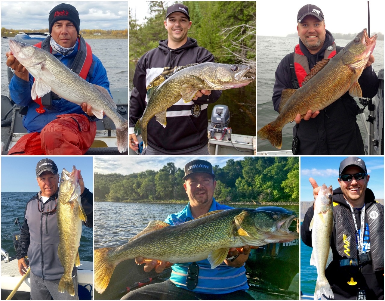 6 Canadian walleye pros reveal their secret go-to baits • Page 6