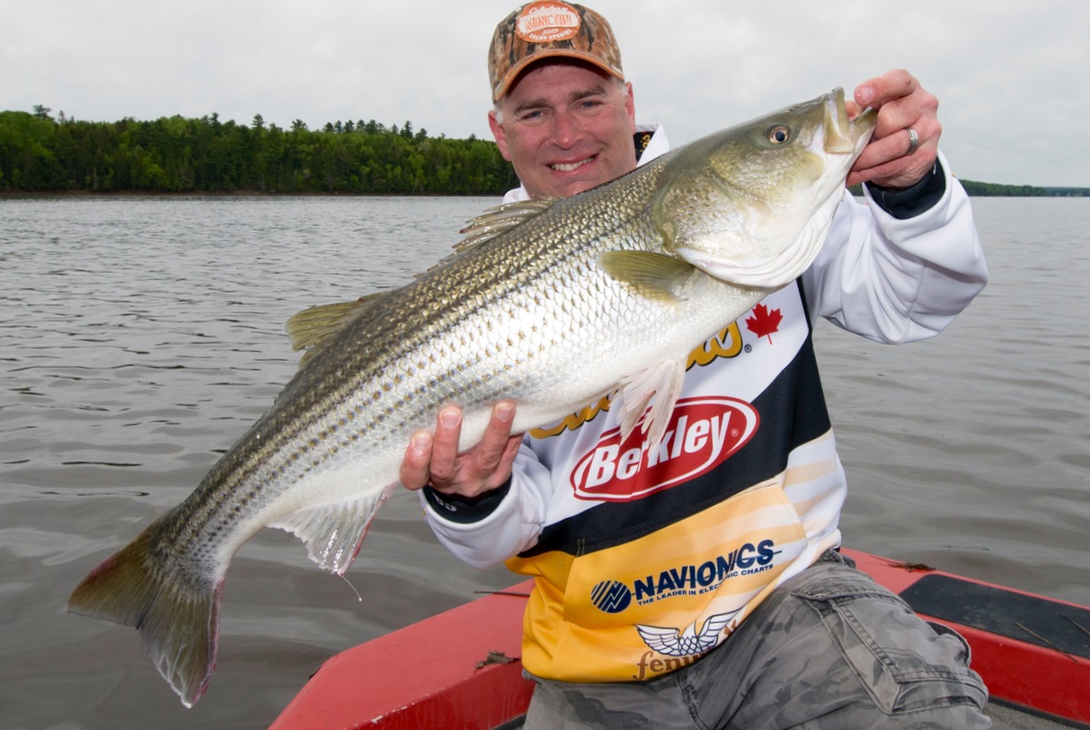 13 New Brunswick hot spots for striped bass fishing • Outdoor Canada