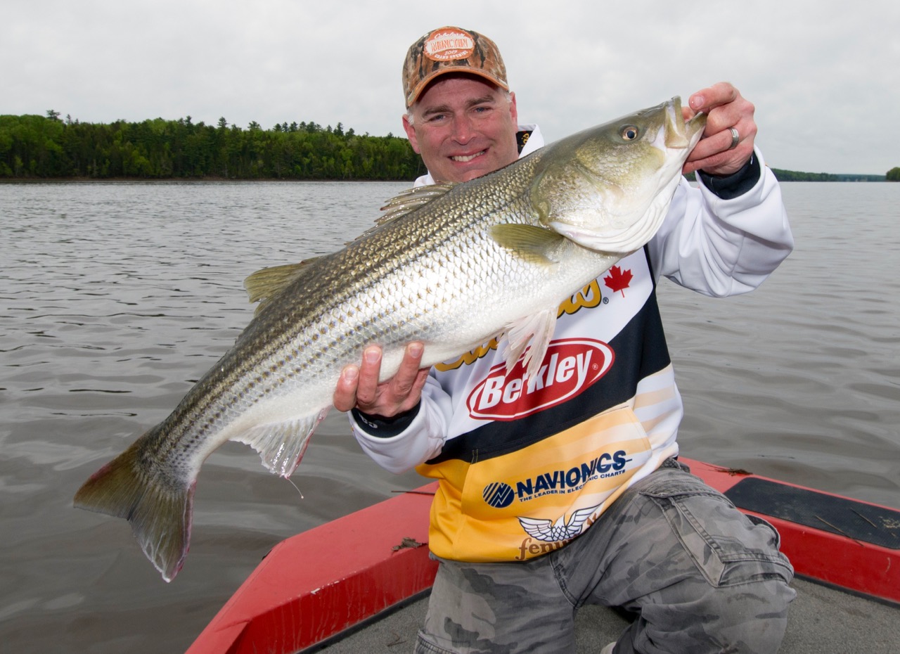 13 New Brunswick hot spots for striped bass fishing • Outdoor Canada