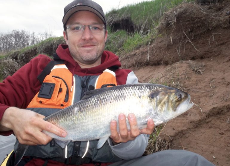 9 Nova Scotia rivers with spectacular shad fishing • Outdoor Canada