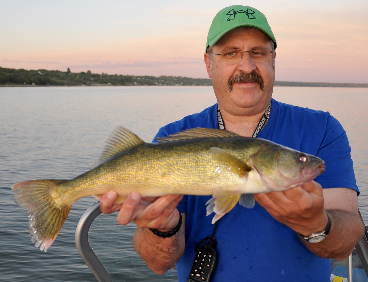 How to catch the oftenoverlooked walleye in shallow water