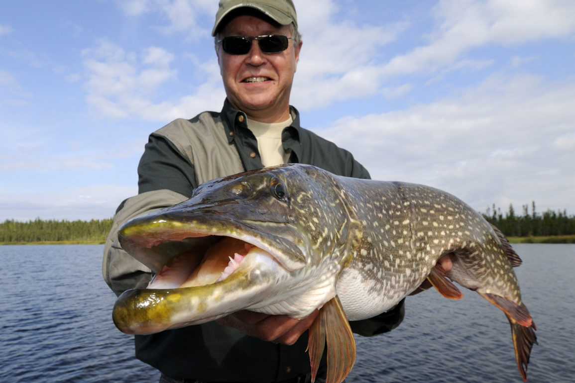One simple trick to catch more and bigger northern pike this fall
