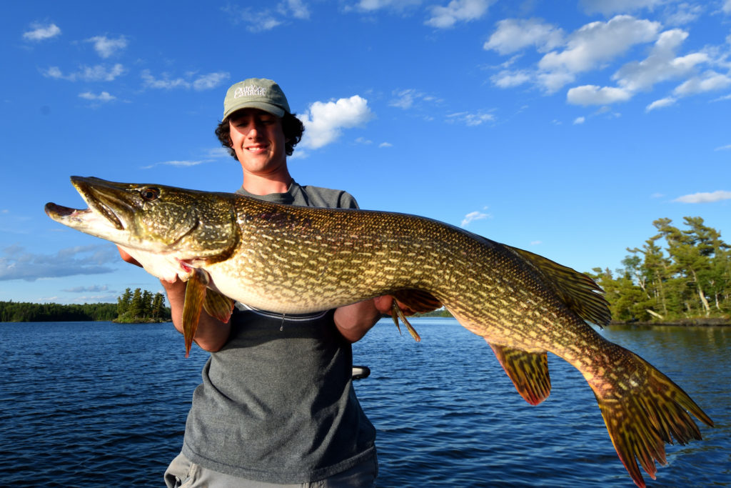 Lure pike with more than red and white - Ontario OUT of DOORS