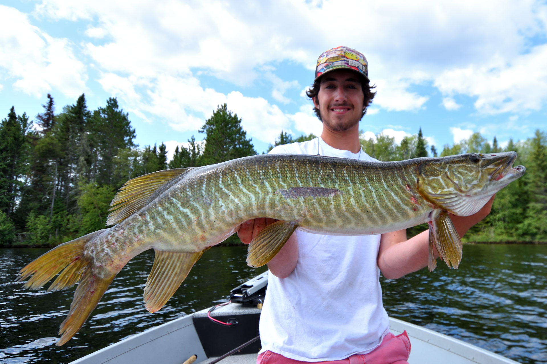 Is it a muskie, pike or tiger? Here's how the experts identify these fish •  Outdoor Canada