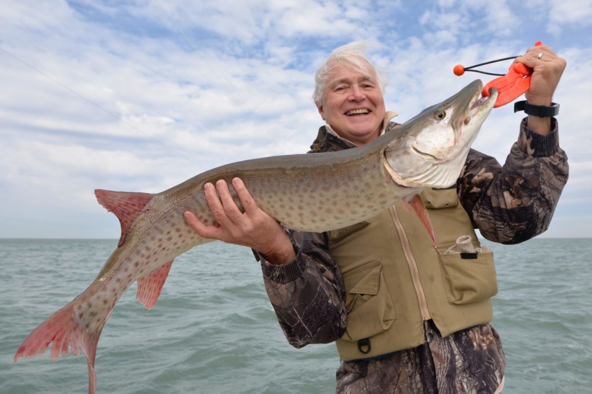 Why Lake St Clair May Be The World s Best Muskie Water Outdoor Canada