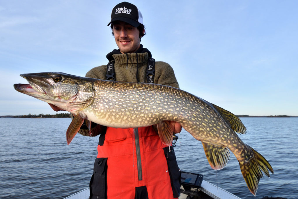 How fast do walleye and northern pike grow? • Outdoor Canada