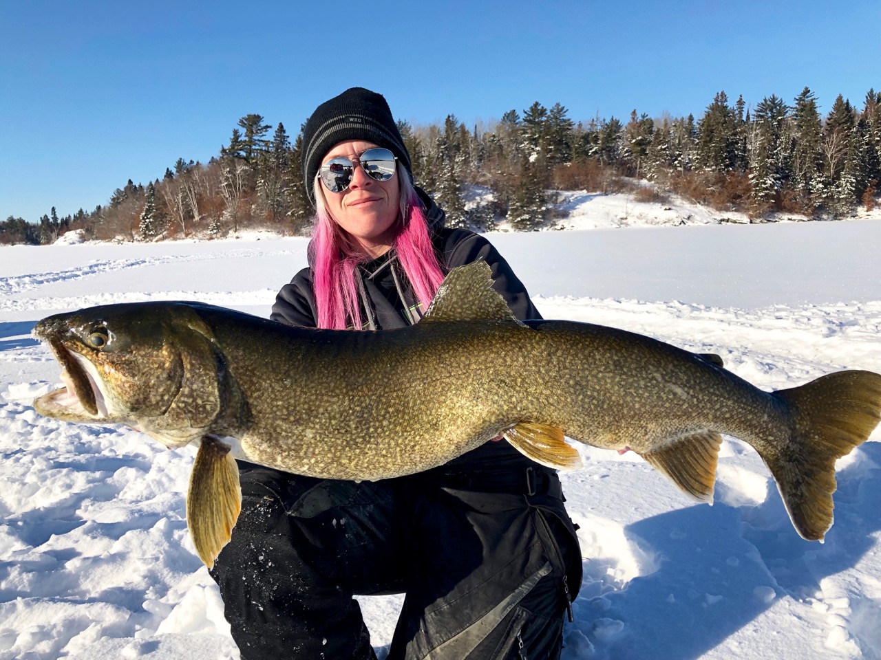 Tips to Catch More Ontario Lake Trout - Pautzke Bait Co