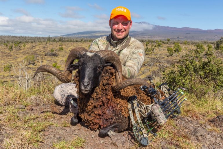 Wild winter getaway A high country sheep hunt—in Hawaii! • Page 4 of 4