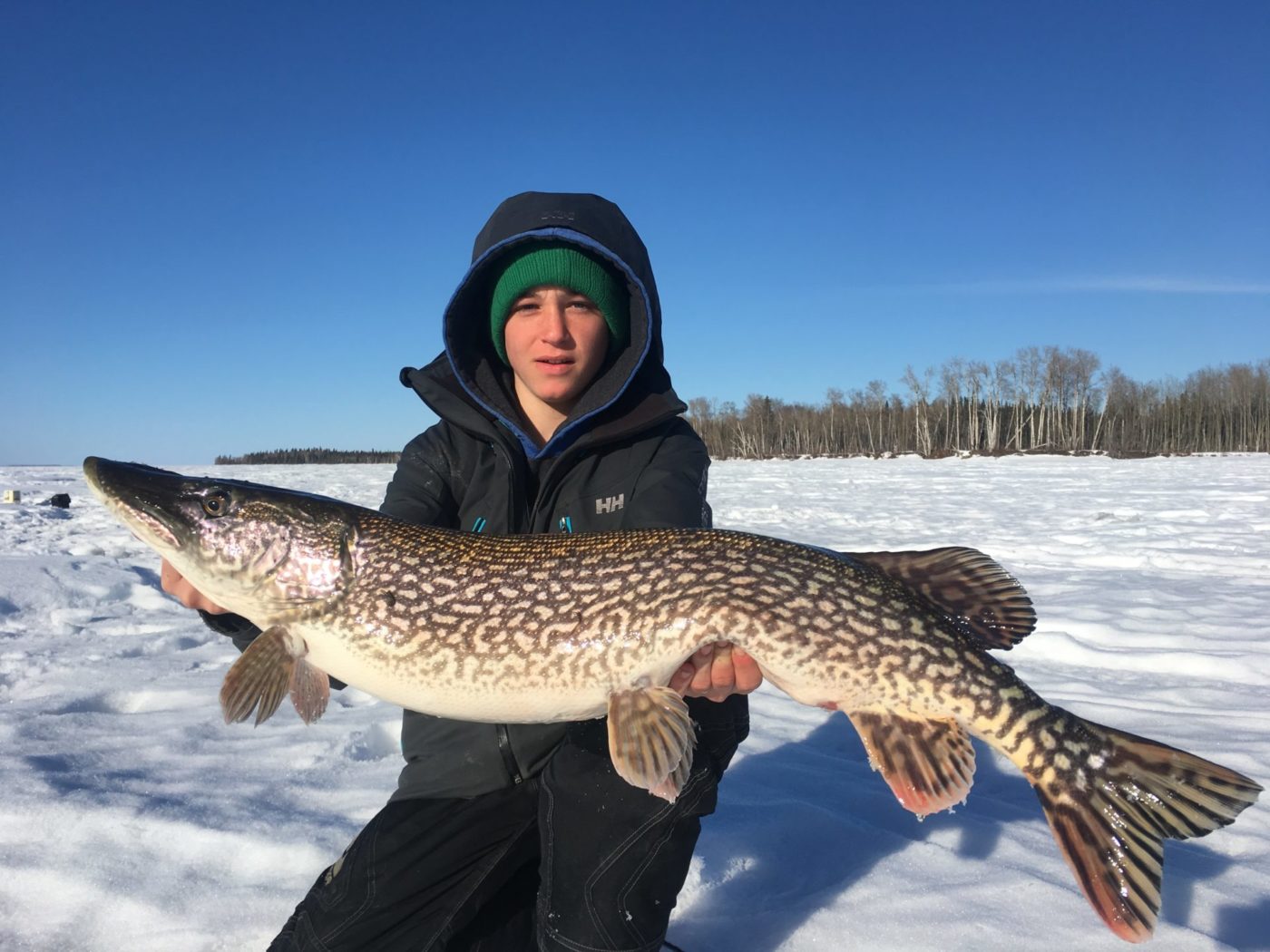 Jigging for lastice pike (and walleye) Tips from a teenaged ice