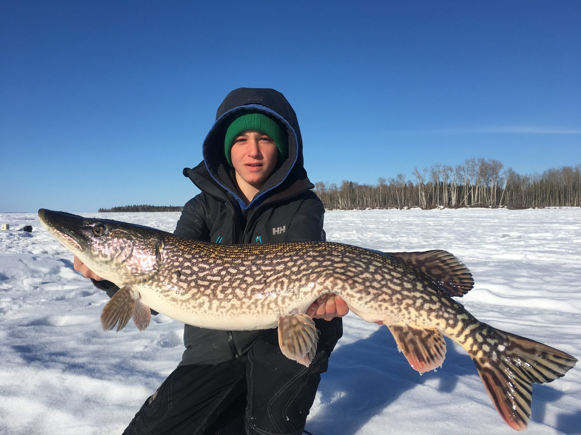 Jigging for last-ice pike (and walleye): Tips from a teenaged ice