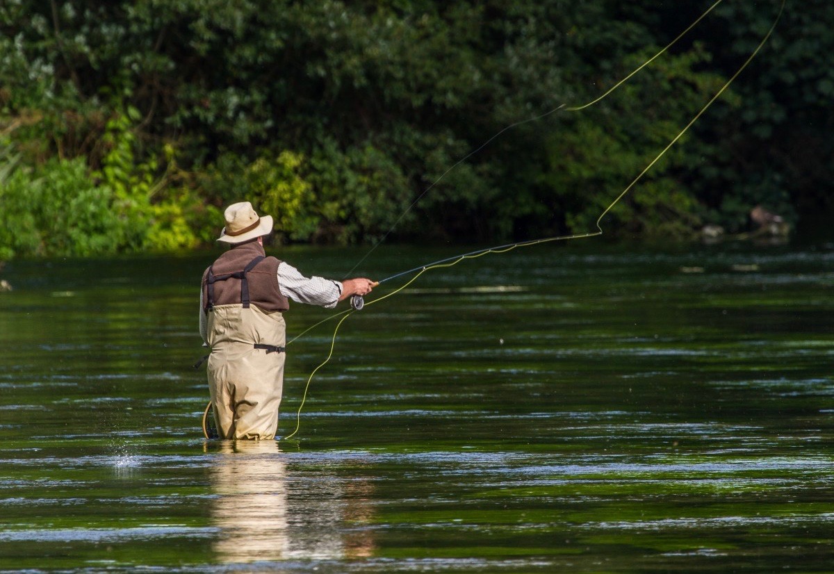 Tips & Tactics: It is the lowly worm that catches the bass - Fly