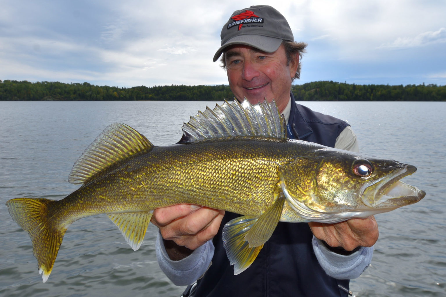 Walleye fishing Q&A Live vs. preserved minnows, jigging depth and more