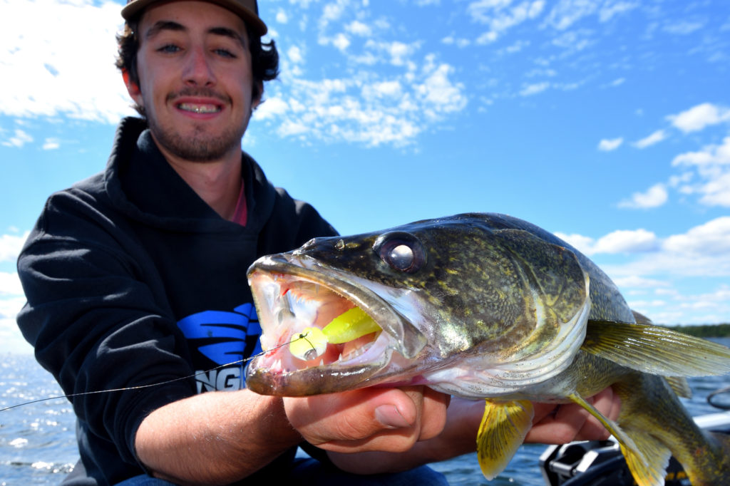 How to pick the best swimbait jig for big walleye • Outdoor Canada