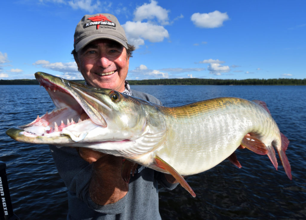 This expert gear tip will help keep giant toothy critters on the line •  Outdoor Canada